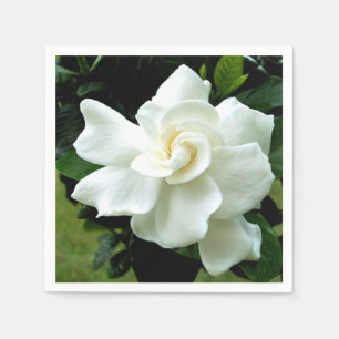 Gardenia Pappersservett