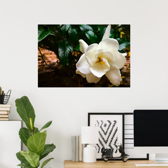 Gardenia Poster (Hemmakontoret)