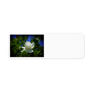 Gardenia Returadress Etikett