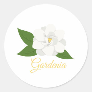 Gardenia Runt Klistermärke