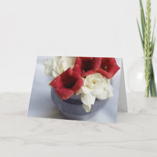 Gardenia & trumpeten får väl kort