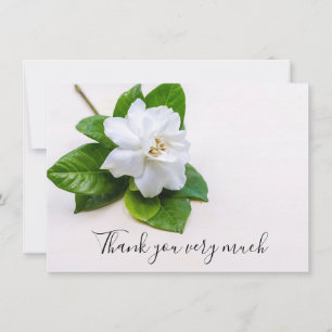 Gardenia vit blomma på trähyllsa tack kort