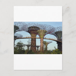 Gardens av Singapore Supertree Grove Vykort
