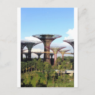 Gardens av Singapore Supertree Grove Vykort