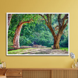 Gardens från Calouste Gulbenkian-stiftelsen. Fototryck