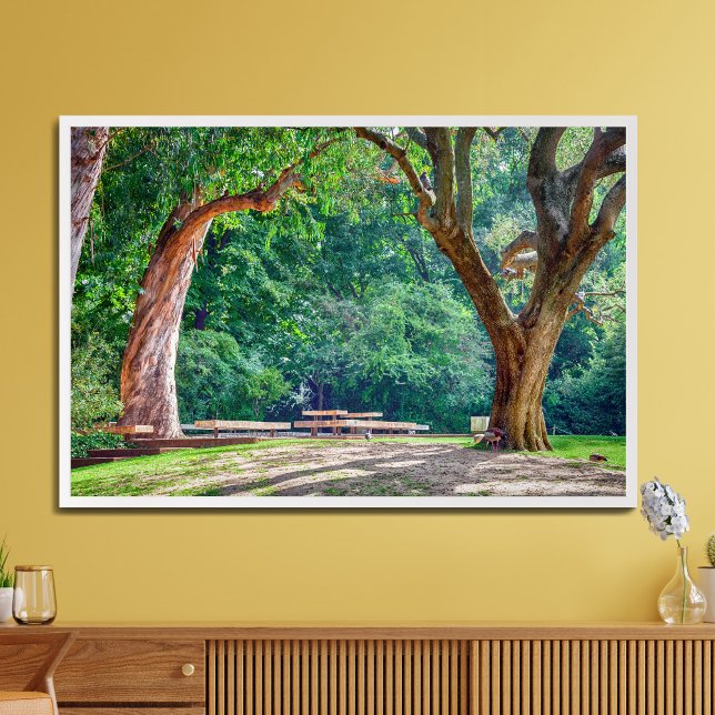 Gardens från Calouste Gulbenkian-stiftelsen. Fototryck (Skapare uppladdad)