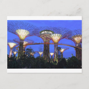 Gardens vid Singapores miljöpark i Bay Vykort