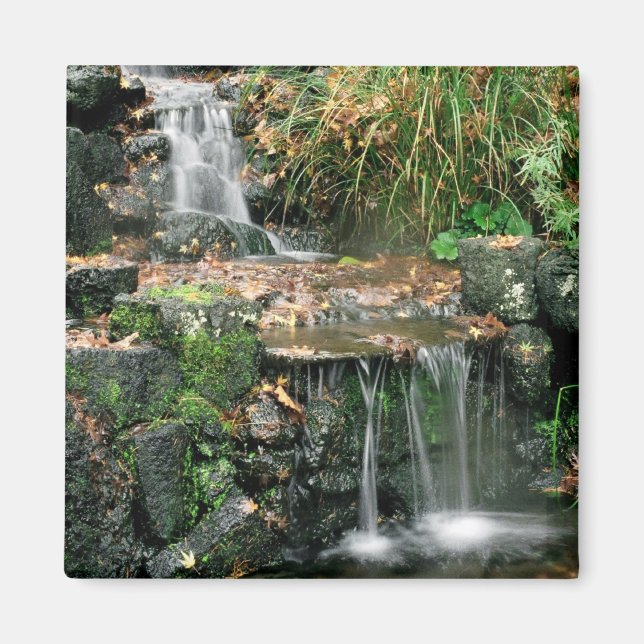 Gardent Delight Magnet (Framsidan)