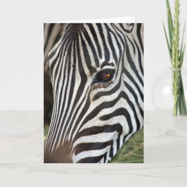 Gårdfarihandlare sebrakort kort (Framsida)