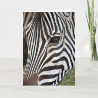 Gårdfarihandlare sebrakort kort