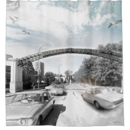 Gardin för Corvair avenydusch