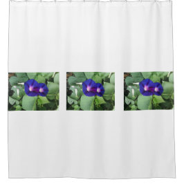 Gardin för dusch för morgonhärlighetblomma