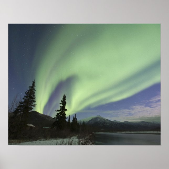 Gardiner av grönt aurora borealis i himlar poster (Framsidan)