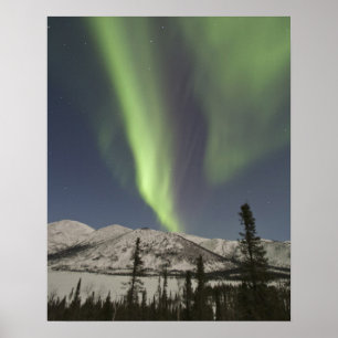 Gardiner av norrsken dansar över himlen poster