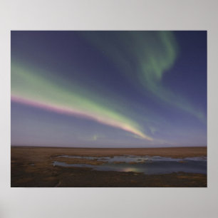 Gardiner i färgad norra ljus poster