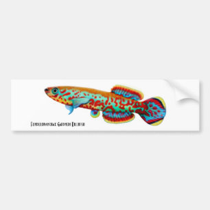 Gardneri Killifishbildekal Bildekal