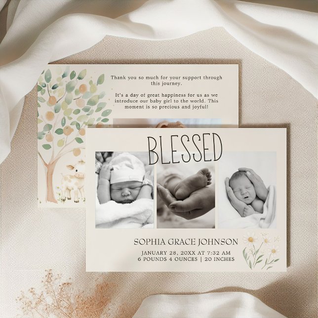 Gårdsdjur Äng Vänner Baby Tillkännagivande (Skapare uppladdad)