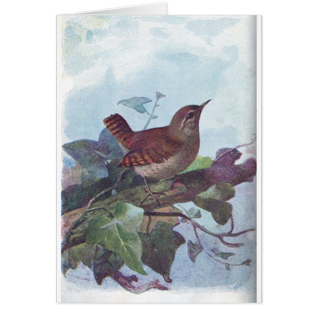 gärdsmyg hälsningskort (Framsidan)