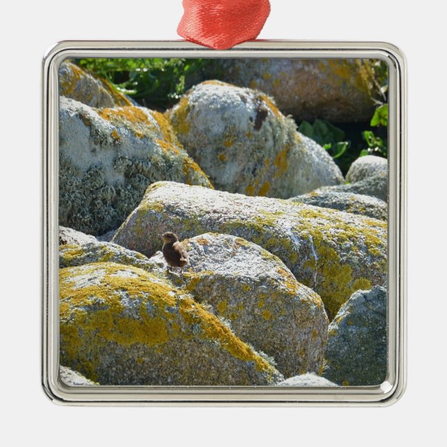 Gärdsmyg Julgransprydnad Metall (Framsidan)