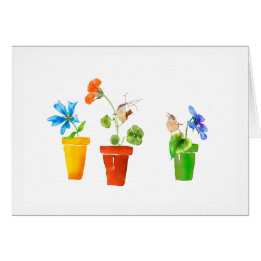 Gärdsmygar och blomkrukar OBS kort
