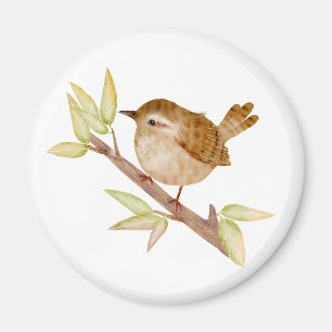 Gärdsmygfågelmagneter Magnet