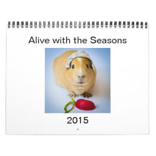 Garfunkel försökskaninen, väggkalender 2015 kalender