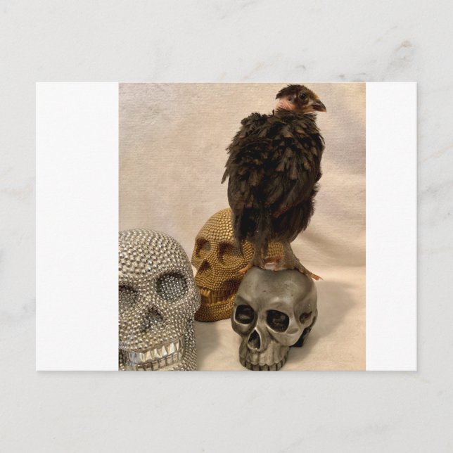 Gargoyle Vykort (Framsida)