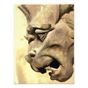 GARGOYLES FOTOTRYCK