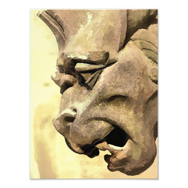 GARGOYLES FOTOTRYCK (Framsidan)