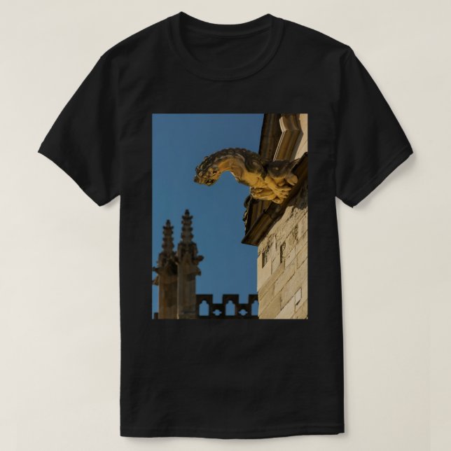 Gargoyles on York Minister Long T Shirt (Design framsida)