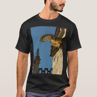 Gargoyles on York Minister Long T Shirt