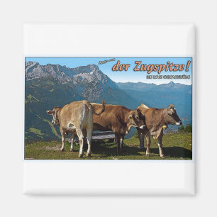 Garmisch - Hallo från Zugspitzen! Magnet