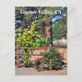 Garner Valley, CA Vykort