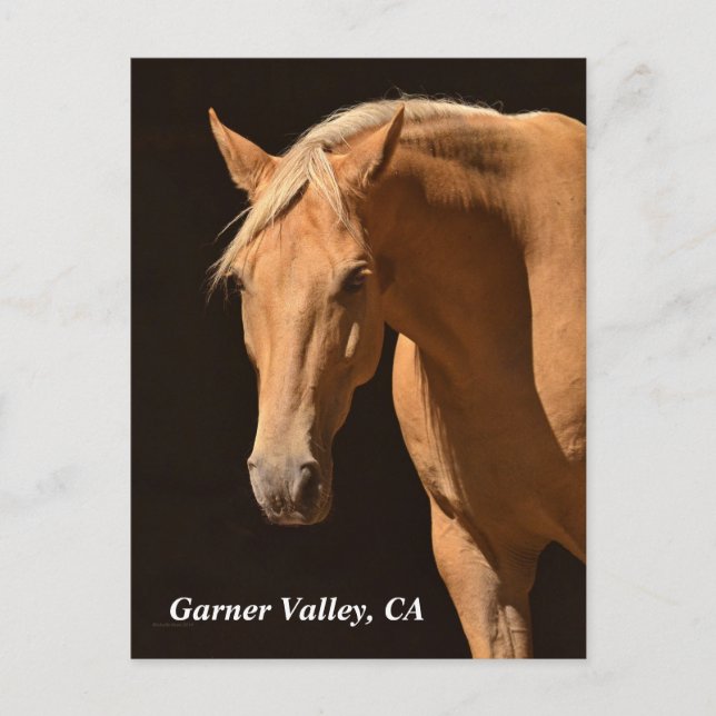 Garner Valley Postcard Vykort (Framsida)