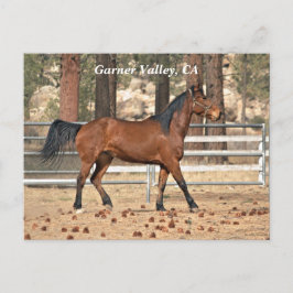 Garner Valley Postcard Vykort