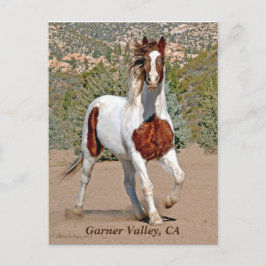 Garner Valley Postcard Vykort