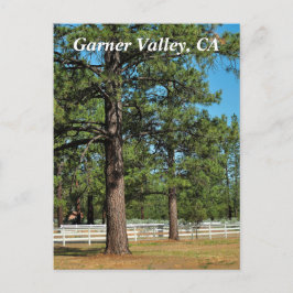 Garner Valley Postcard Vykort