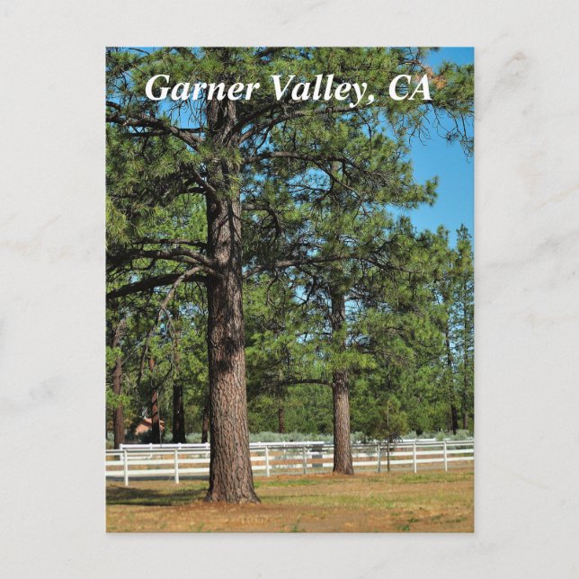 Garner Valley Postcard Vykort (Framsida)