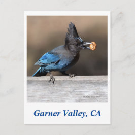 Garner Valley Postcard Vykort