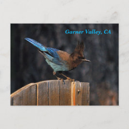 Garner Valley Postcard Vykort