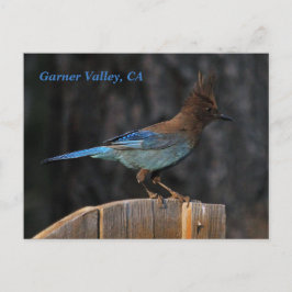 Garner Valley, vykort för CA