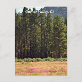 Garner Valley, vykort för CA