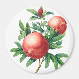 Garnets mönster magnet