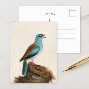 Garrulous Roller William Lewin Vykort