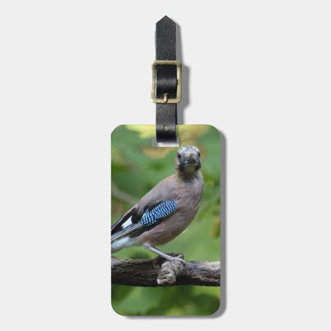 Garrulus glandarius - Eichelhäher Bagagebricka (Vertikal Framsida)