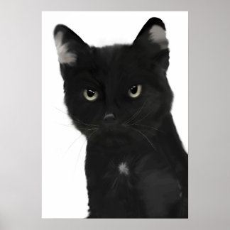 Gary den svarta katten poster