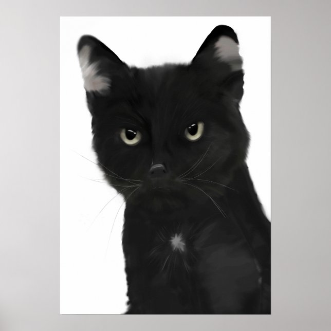 Gary den svarta katten poster (Framsidan)