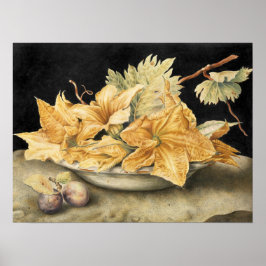 Garzoni - Fortfarande liv med pumpblommor och vind Poster