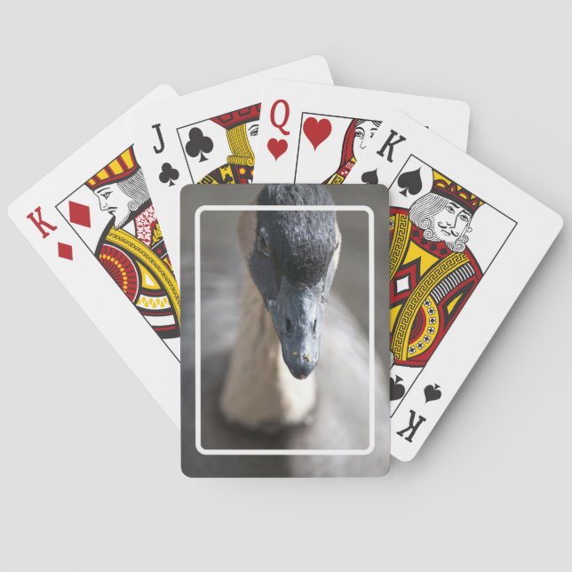 Gås Casinokort (Baksidan)