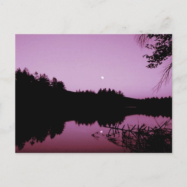 Gås Dammen på kvällen Vykort (Framsida)